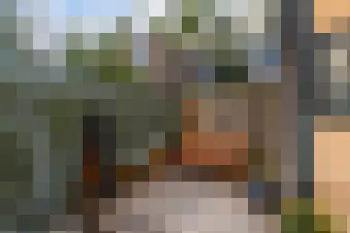 Suezkade 93 Den Haag thumbnail 23