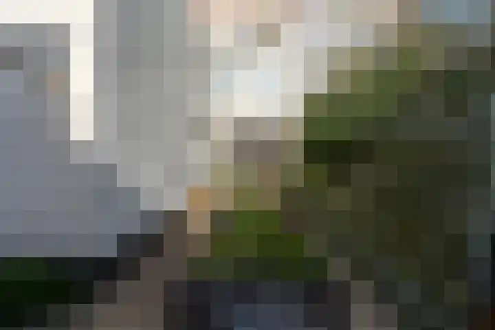 Suezkade 93 Den Haag thumbnail 25