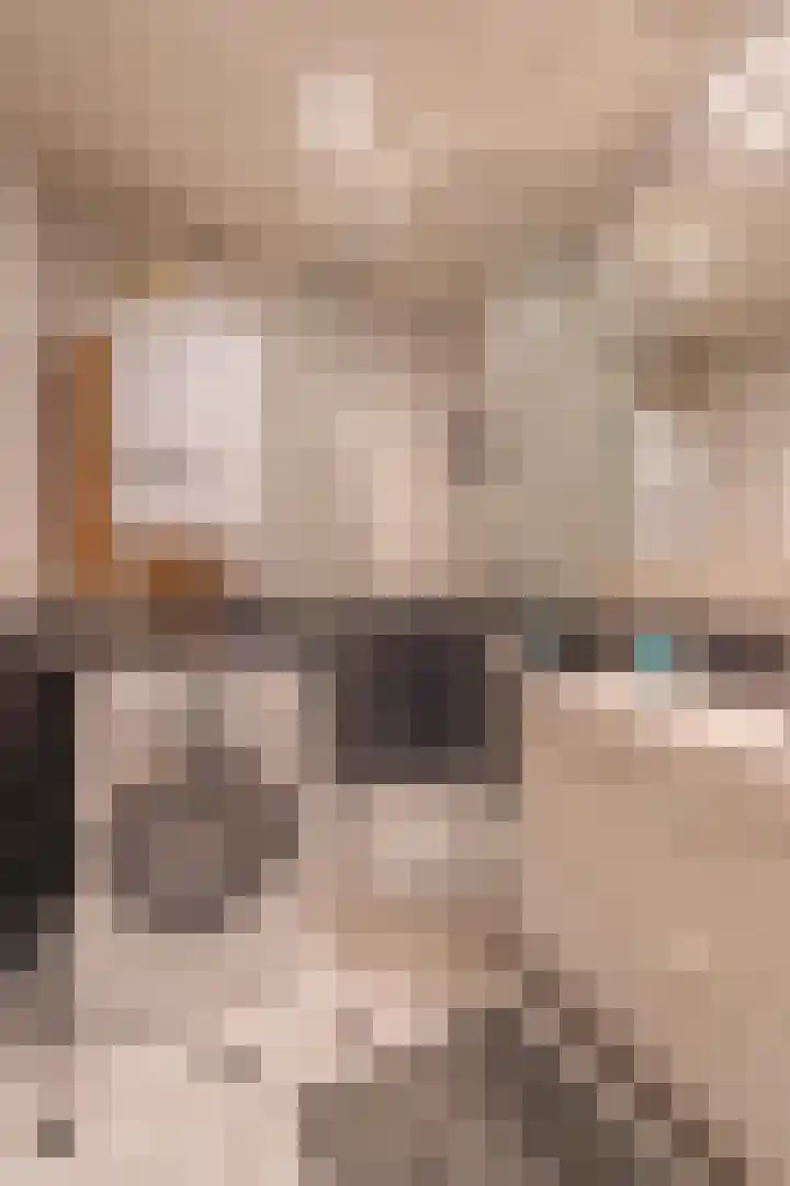 Suezkade 93 Den Haag thumbnail 29