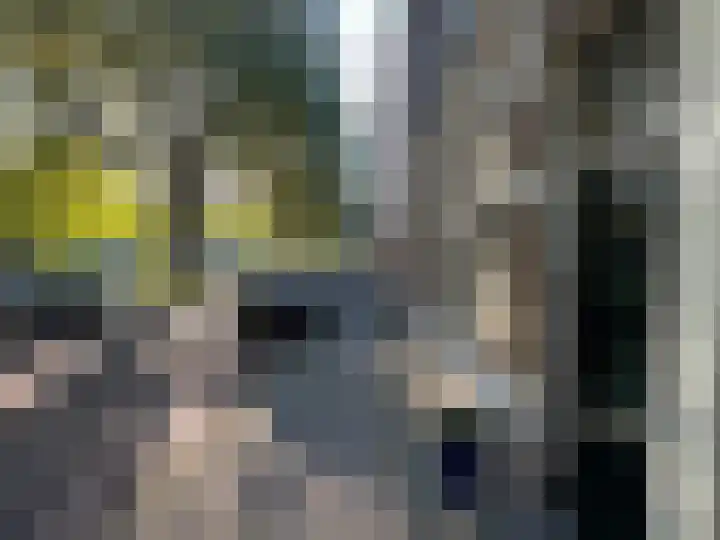 Suezkade 93 Den Haag thumbnail 5