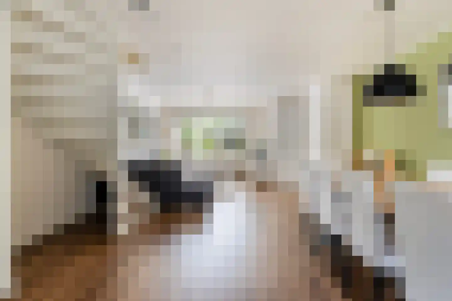 Suezpad 29 Rotterdam thumbnail 10