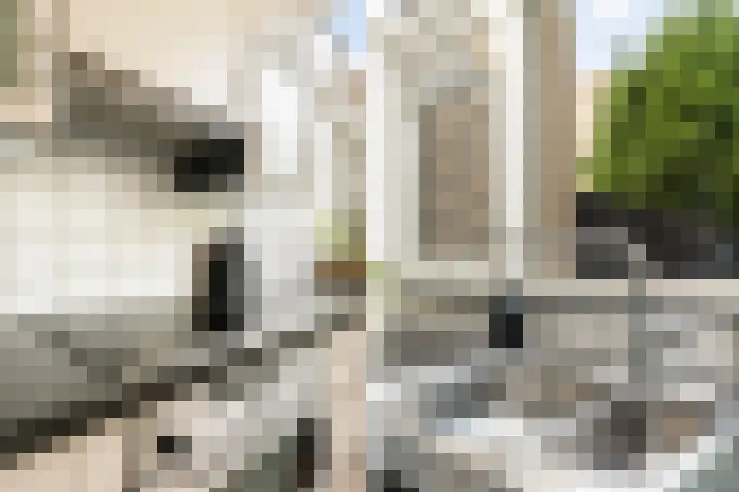 Suezpad 29 Rotterdam thumbnail 17