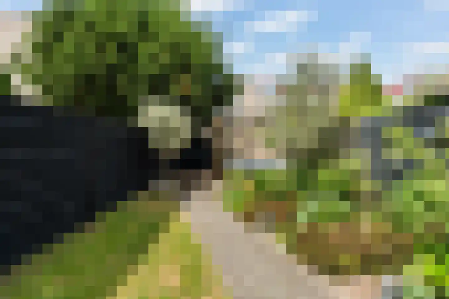Suezpad 29 Rotterdam thumbnail 19