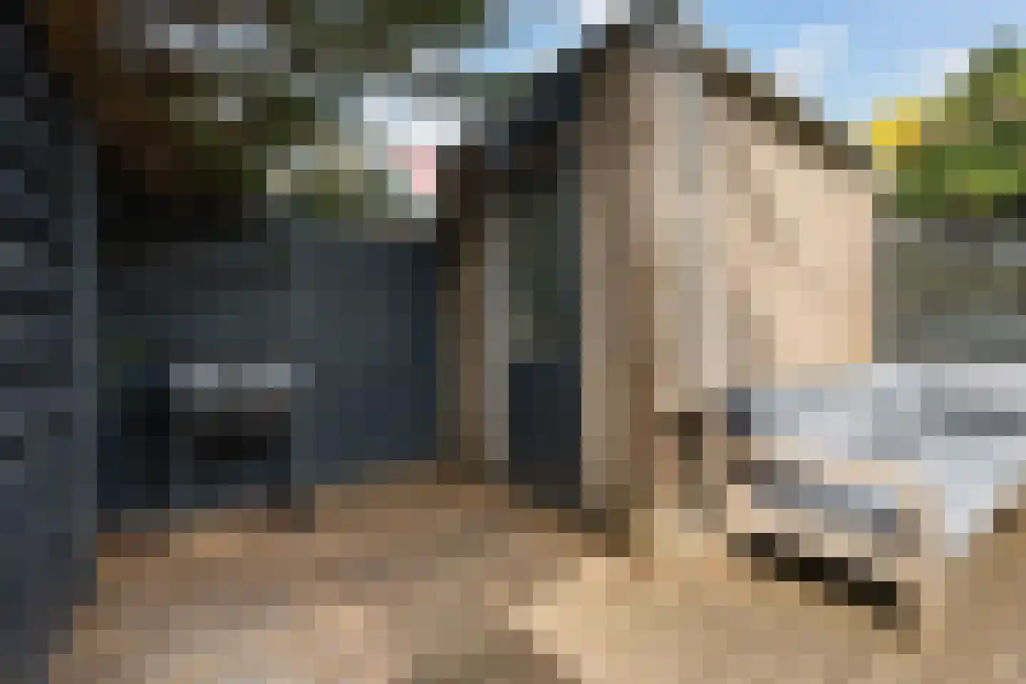 Suezpad 29 Rotterdam thumbnail 20