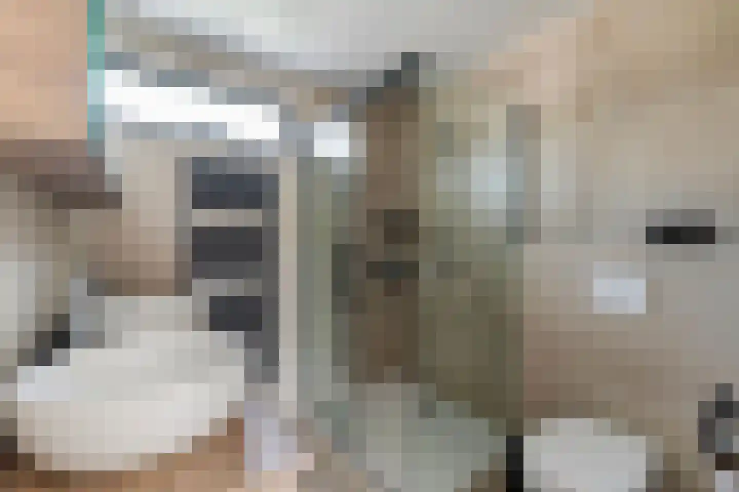 Suezpad 29 Rotterdam thumbnail 34