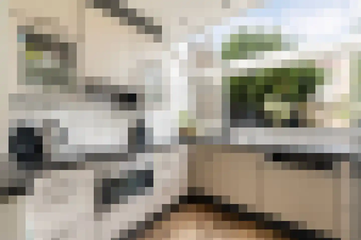 Suezpad 29 Rotterdam thumbnail 4