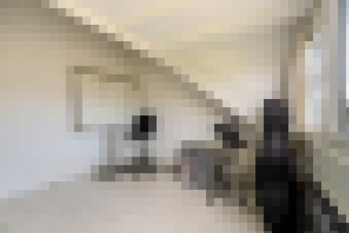 Suezpad 29 Rotterdam thumbnail 42