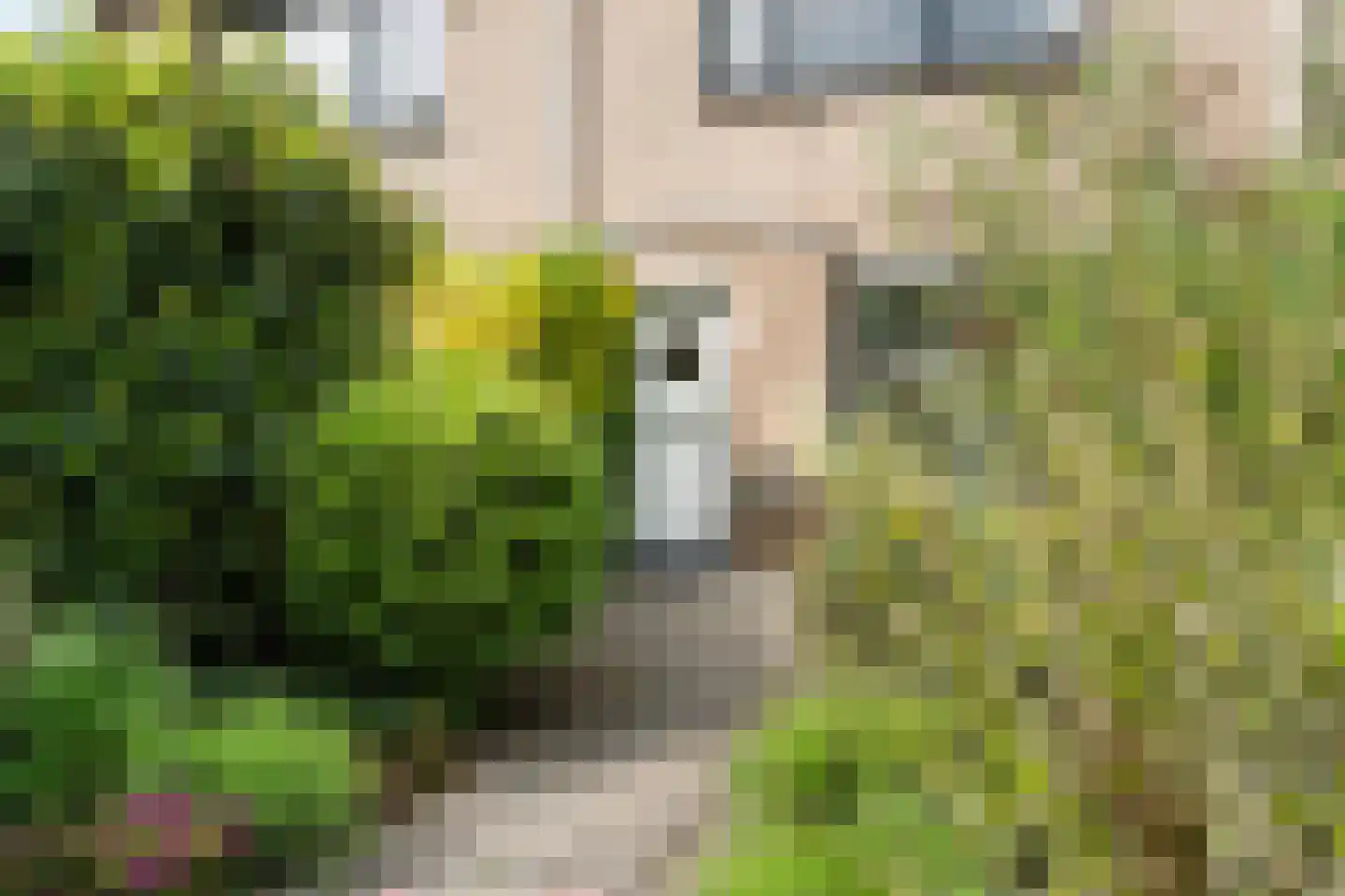 Suezpad 29 Rotterdam thumbnail 5