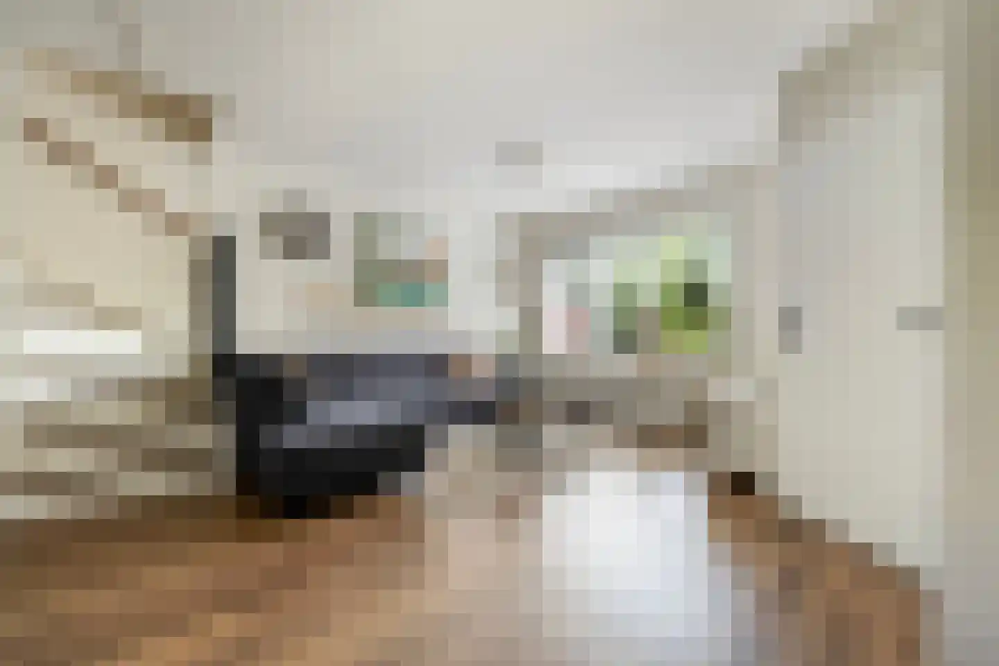 Suezpad 29 Rotterdam thumbnail 8
