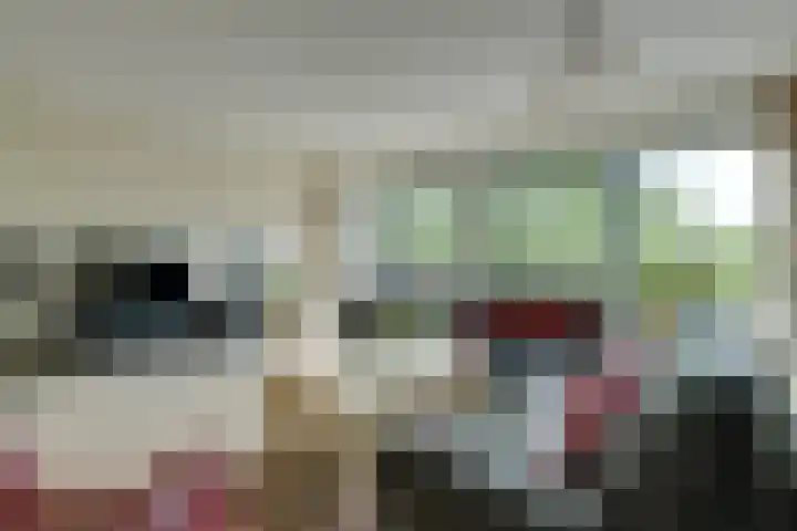 Suezweg 35 Purmerend thumbnail 17