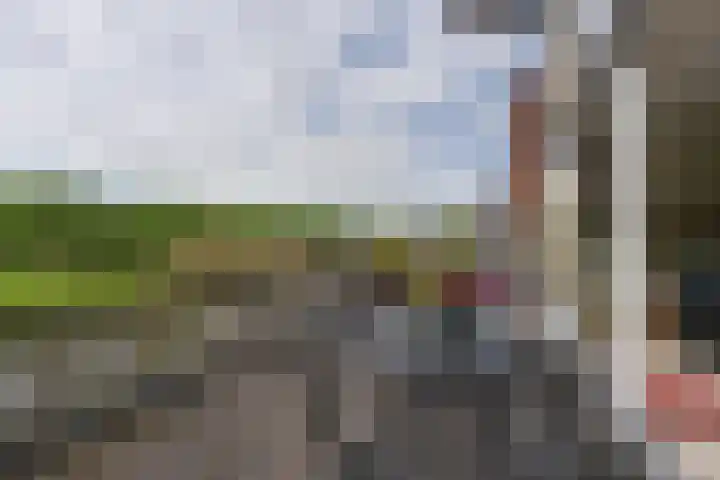 Suezweg 35 Purmerend thumbnail 27