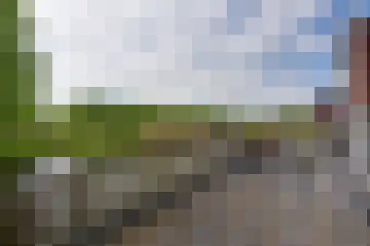 Suezweg 35 Purmerend thumbnail 28