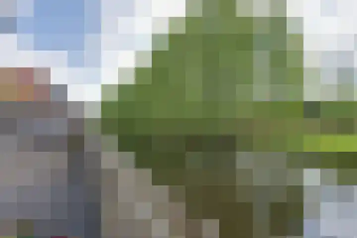 Suezweg 35 Purmerend thumbnail 31