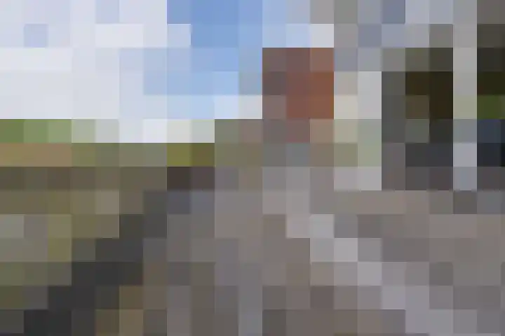 Suezweg 35 Purmerend thumbnail 32