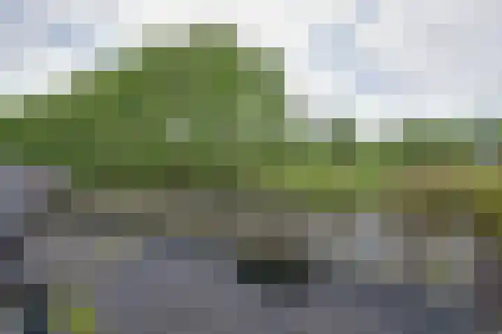 Suezweg 35 Purmerend thumbnail 33