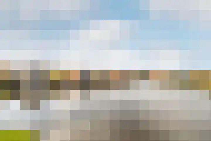 Suezweg 40 Purmerend thumbnail 20