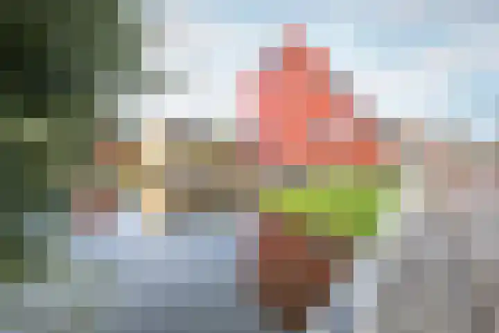 Suezweg 40 Purmerend thumbnail 5