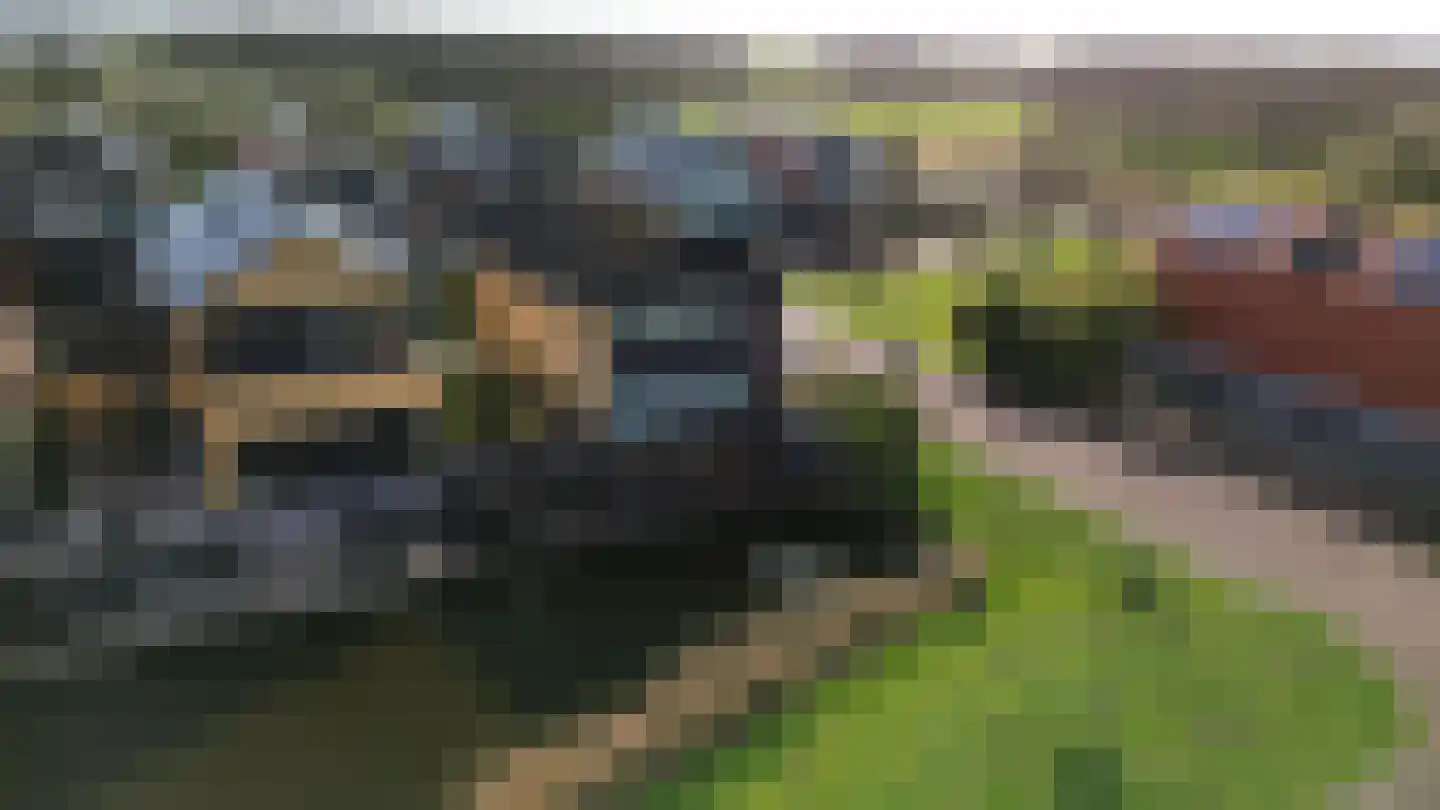 Suezweg 64 Purmerend thumbnail 55