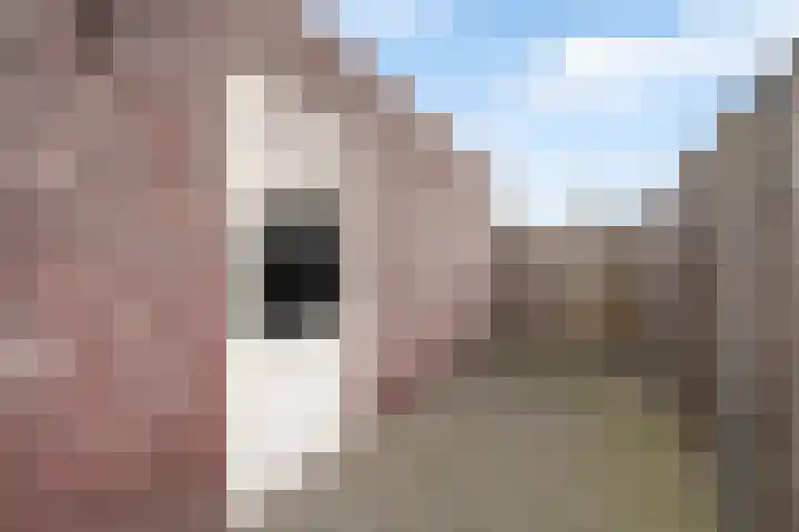 Suffolkstraat 18 Nederweert thumbnail 32