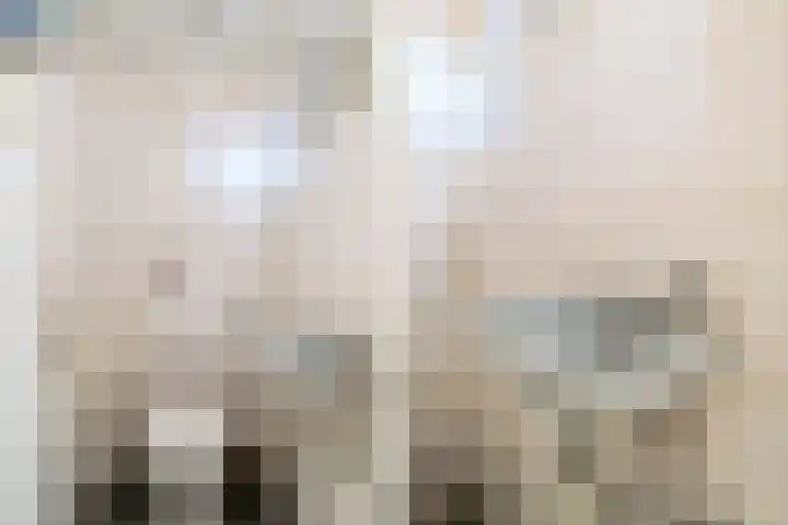 Suiestraat 1 A Rotterdam thumbnail 32