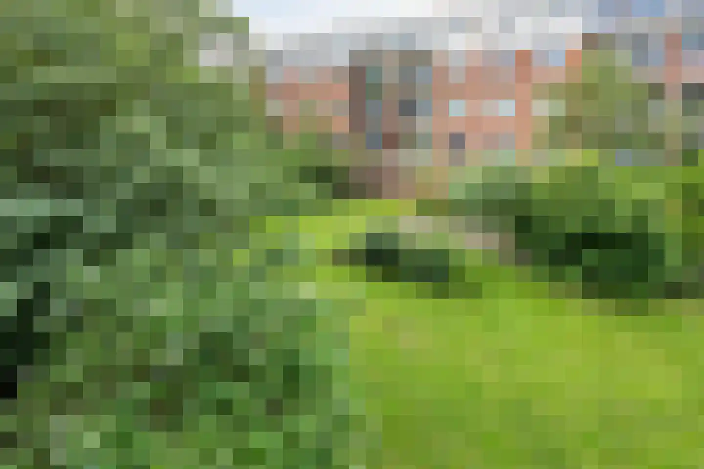 Suiestraat 21 D Rotterdam thumbnail 22
