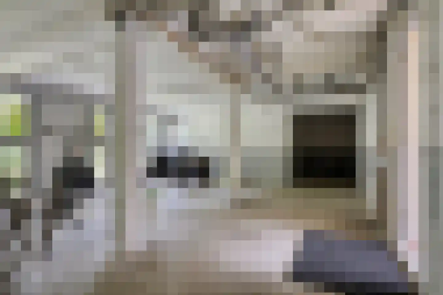Suiestraat 21 D Rotterdam thumbnail 24