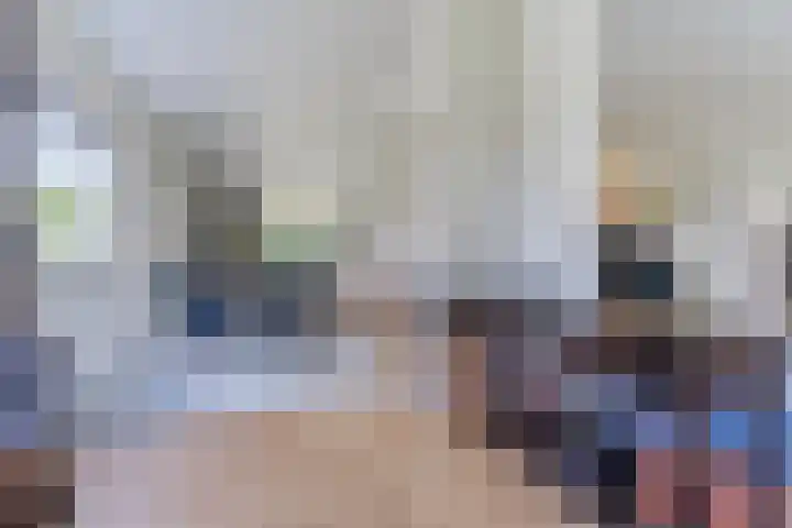 Suijlke 2 Mierlo thumbnail 11