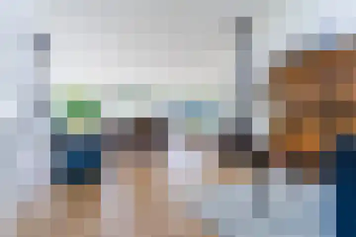 Suijlke 2 Mierlo thumbnail 12