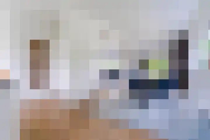Suijlke 2 Mierlo thumbnail 14