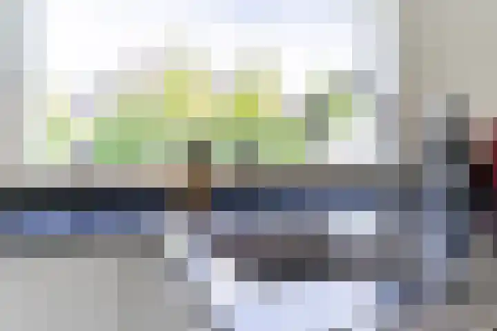 Suijlke 2 Mierlo thumbnail 16