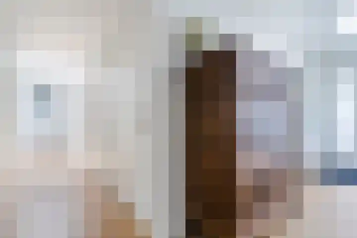 Suijlke 2 Mierlo thumbnail 21
