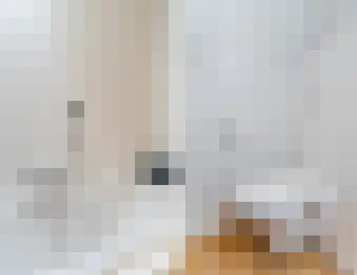 Suijlke 2 Mierlo thumbnail 29