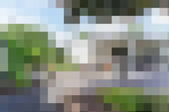 Suijlke 2 Mierlo thumbnail 36