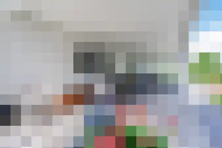 Suijlke 2 Mierlo thumbnail 37