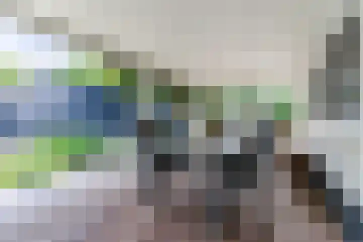 Suijlke 2 Mierlo thumbnail 38