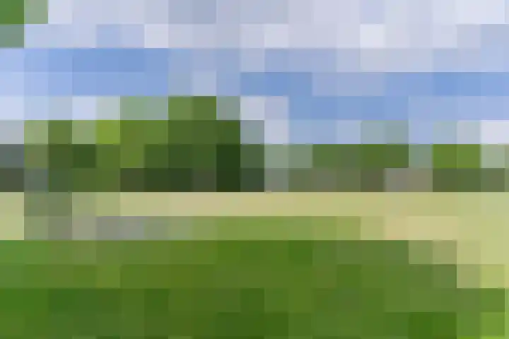 Suijlke 2 Mierlo thumbnail 45