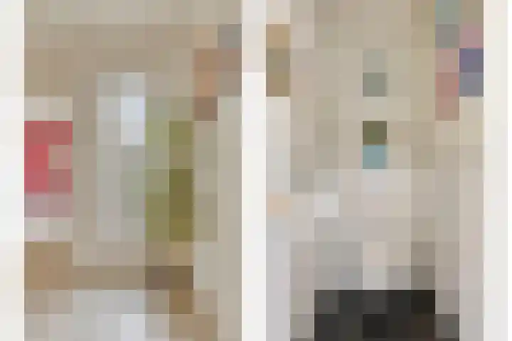 Suijlke 8 Mierlo thumbnail 10