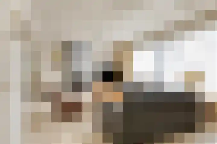 Suijlke 8 Mierlo thumbnail 12