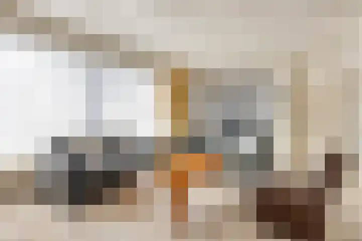 Suijlke 8 Mierlo thumbnail 13
