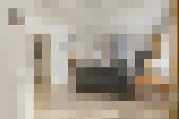 Suijlke 8 Mierlo thumbnail 15