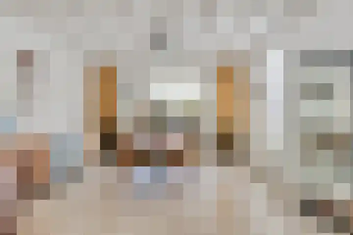 Suijlke 8 Mierlo thumbnail 17