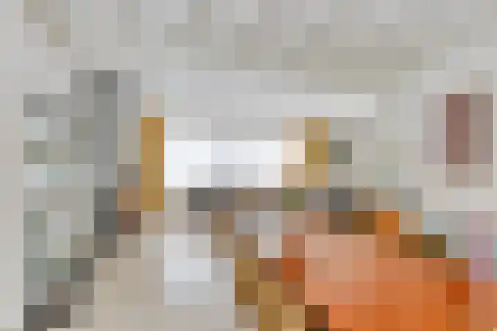 Suijlke 8 Mierlo thumbnail 18
