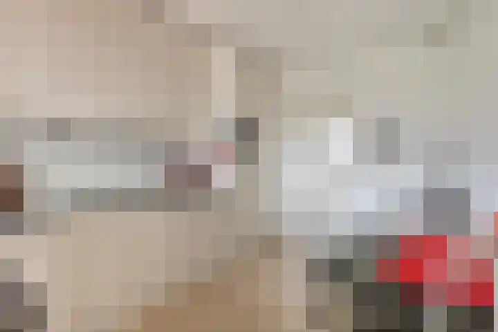 Suijlke 8 Mierlo thumbnail 22