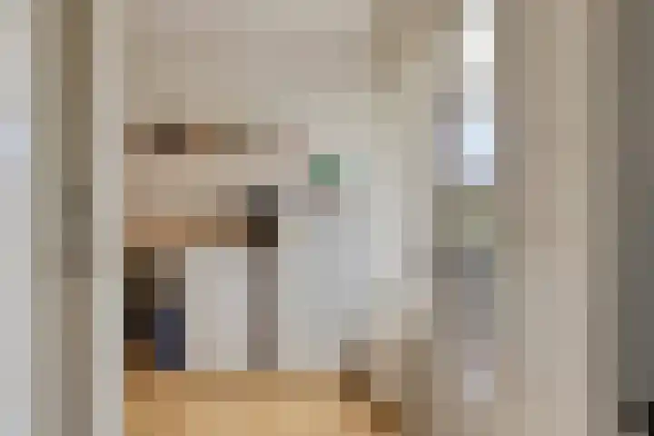 Suijlke 8 Mierlo thumbnail 23