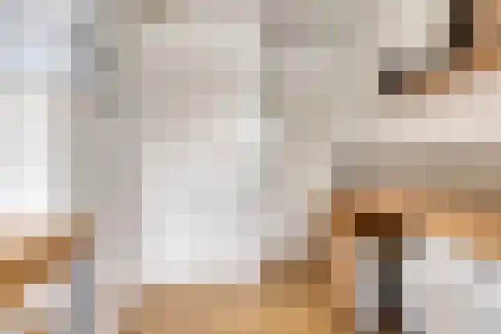 Suijlke 8 Mierlo thumbnail 24