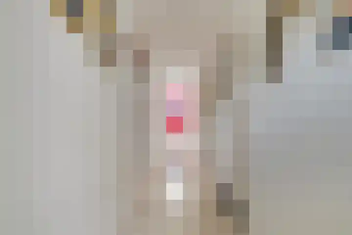 Suijlke 8 Mierlo thumbnail 26
