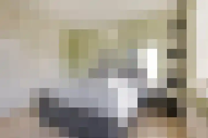 Suijlke 8 Mierlo thumbnail 28