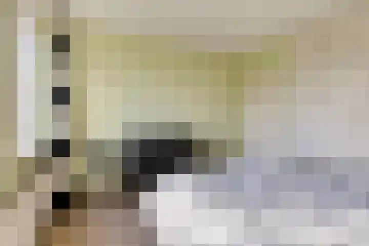 Suijlke 8 Mierlo thumbnail 29