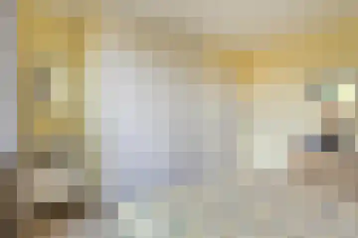 Suijlke 8 Mierlo thumbnail 31