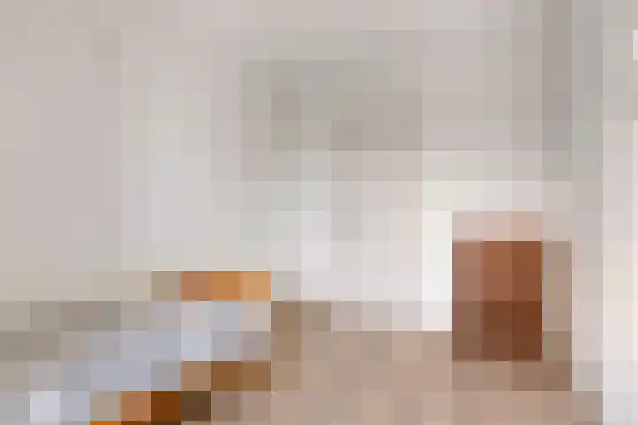 Suijlke 8 Mierlo thumbnail 33